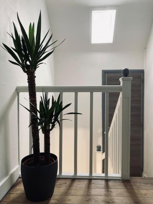 Appartement Duplex La Cambu'Z Le Portel Plage Eksteriør bilde